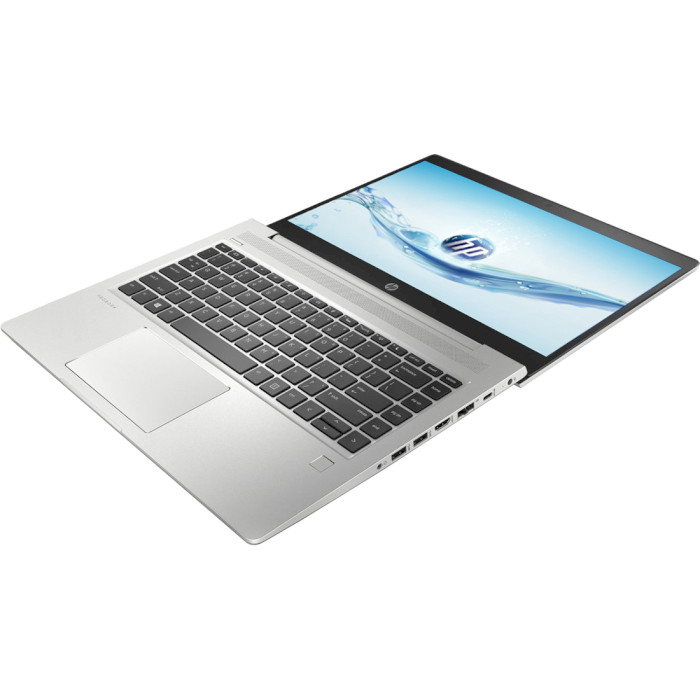 Ноутбук HP ProBook 440 G7 Silver (6XJ55AV_V15)