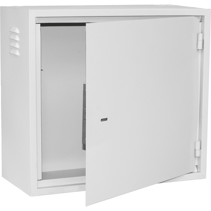 Антивандальный шкаф 19" IPCOM БК-550-З-2-4U (4U, 550x250мм, RAL7035)