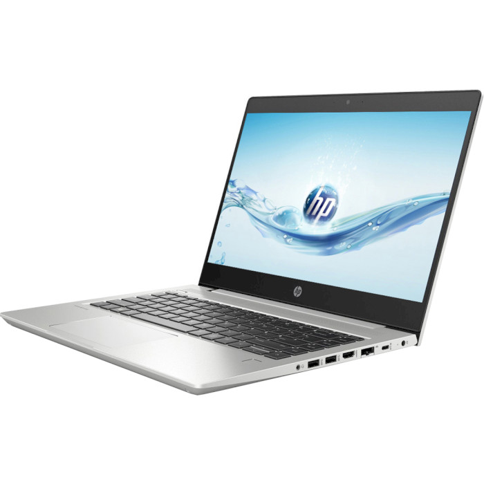 Ноутбук HP ProBook 445 G7 Silver (1F3K8EA)