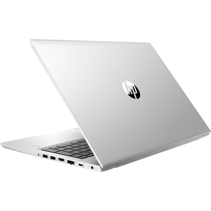 Ноутбук HP ProBook 455 G7 Silver (12X20EA)