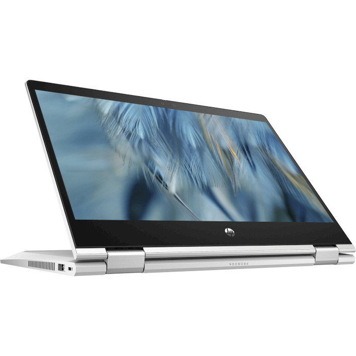 Ноутбук HP ProBook x360 435 G7 Pike Silver (8RA66AV_V2)