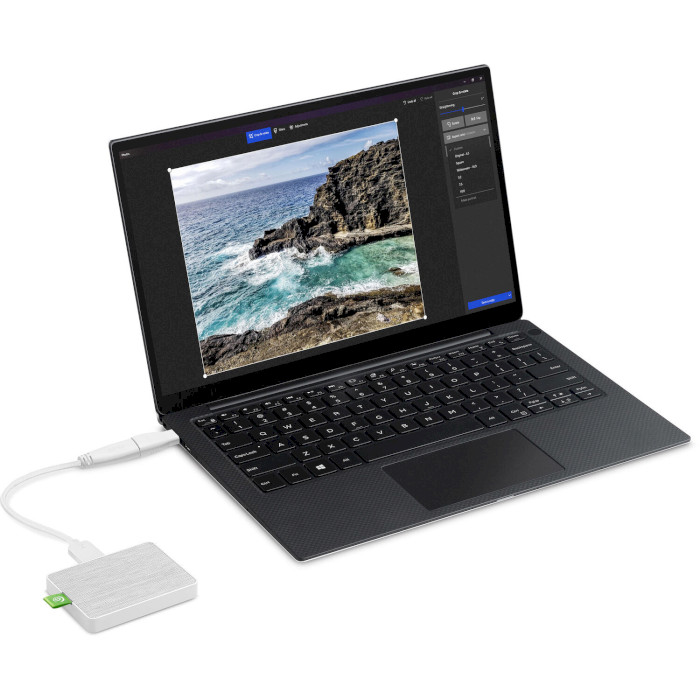 Портативный SSD SEAGATE Ultra Touch 1TB White (STJW1000400)
