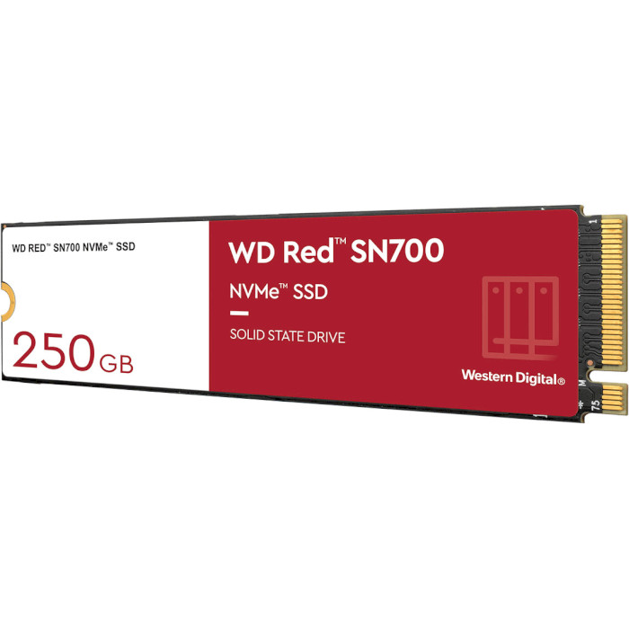 SSD диск WD Red SN700 250GB M.2 NVMe (WDS250G1R0C)
