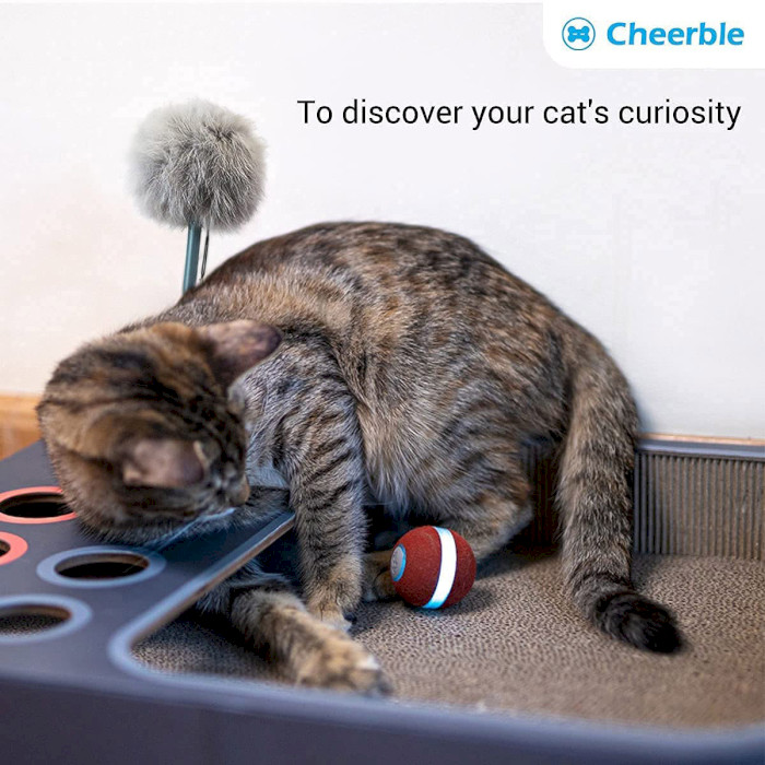 Інтерактивний м'ячик для котів CHEERBLE Wicked Ball Mini Red (C0419-R)