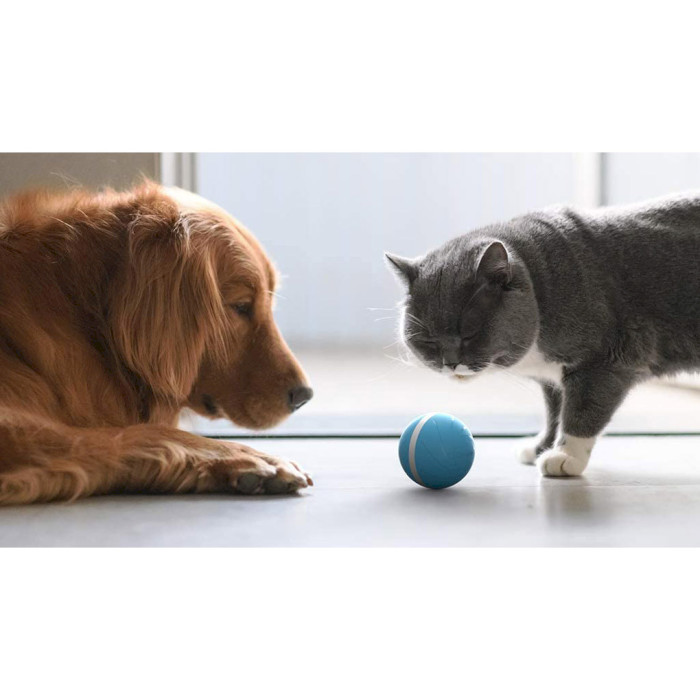 Интерактивный мячик для кошек и собак CHEERBLE Wicked Ball Blue (C1801-BL)