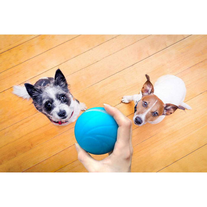 Інтерактивний м'ячик для котів і собак CHEERBLE Wicked Ball Blue (C1801-BL)